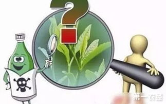 法规对茶叶农药残留的调整