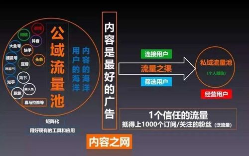 五、 账号交易：高价值账号的潜力