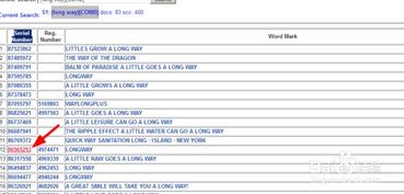 三、 查询步骤详解