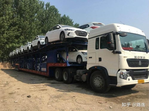 团队网络与运输服务覆盖