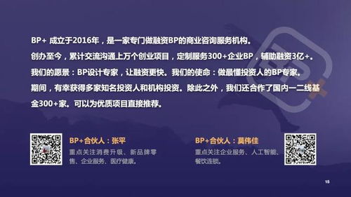 展望未来：TEMU站内广告服务或将引领行业新趋势