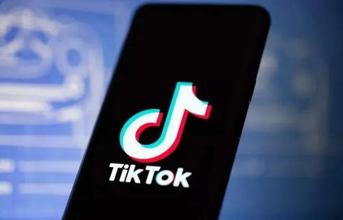 一、 TikTok海外仓一件代发全流程解析