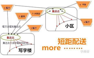 多样化配送方式：满足不同商品和地区的配送需求