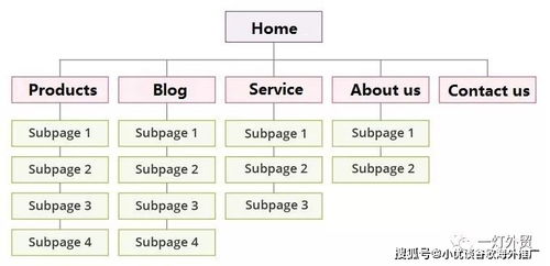 三、 风险点分析：Temu与Ozon的风险对比