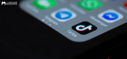 掌握外语表达， 拓宽国际观众群