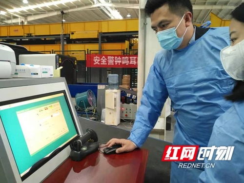 了解国际快递公司