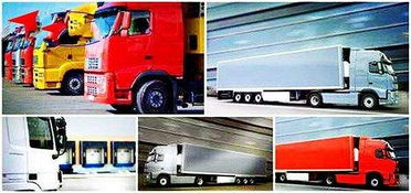 2. 货物品种限制