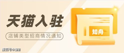 2021年天猫新年购物车季招商要求详解