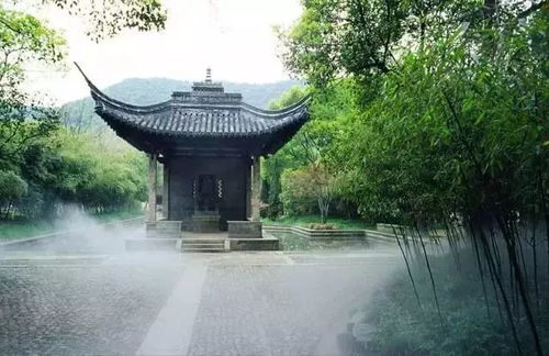 二、 平台影响力