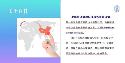 政策变化与模式竞争