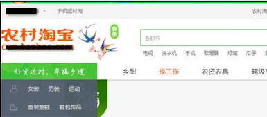 一、 农村淘宝推广的必要性