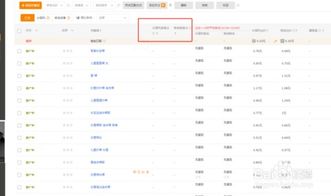 二、 市场调研：奠定基础，精准定位
