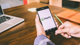 广告投放：测试不同形式的广告效果