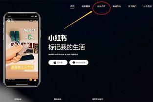 1. tong过官网登录