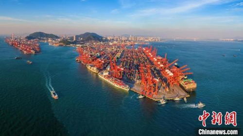 全球服务网络与港口布局