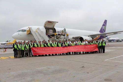 七、 运输方式选择建议