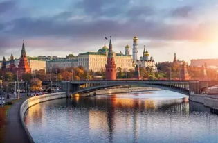 深圳3C配件品牌在Ozone平台的成功案例