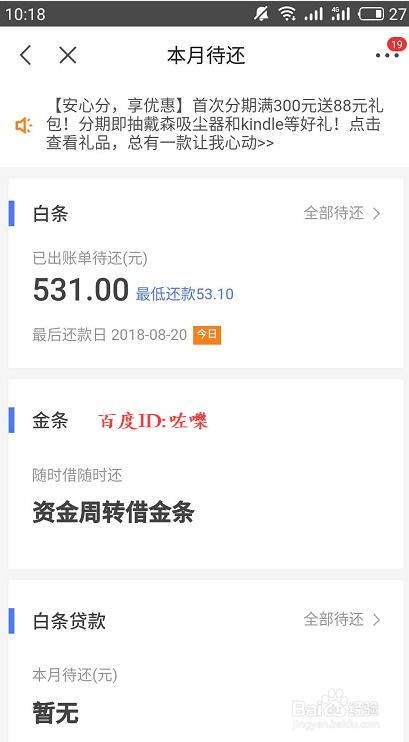 京东白条分期付款概述