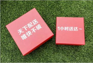 搞钱第四步：避免踩坑， 掌握正确的理财姿势