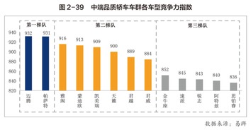 大小类别排名：洞察市场趋势