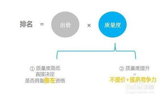 2. 货品运营：新品成长与转化提升