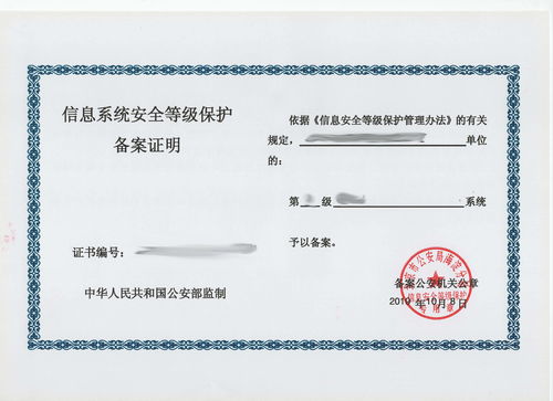 国际快递托盘尺寸的标准与限制