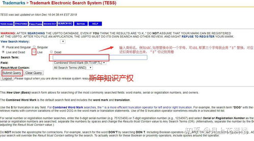 服务项目详细说明