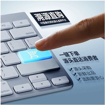 一、 商品溯源码的真相：是否足以辨别真伪