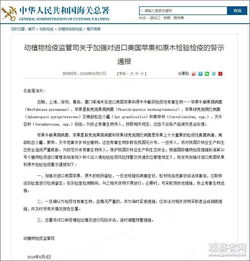 木质包装入境查验的风险管理措施