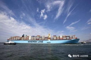 全球业务网络与经济实力