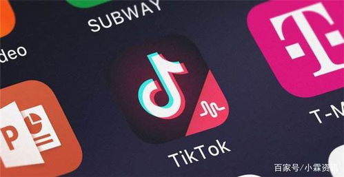 一、 短视频平台TikTok的崛起与挑战