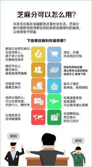 企业选择：考虑信誉度和资质