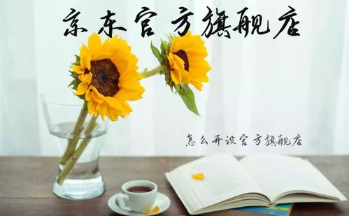 一、 京东旗舰店入驻条件