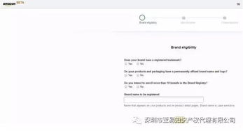 美国站品牌备案流程概述