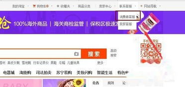 二、 淘宝市场：机遇与挑战并存