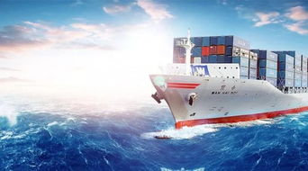 清关文件完整度