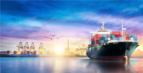 三、 清关与合规服务