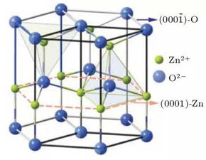 六、 LTL运动装备的材质与设计