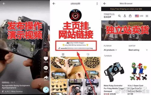 1. 好用的TikTok上货软件