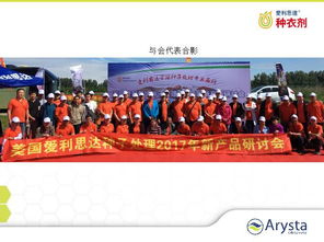 2. 专业服务团队