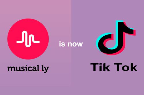 二、 TikTok的运营策略