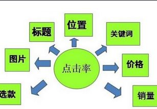 价格测试：每4小时监控竞品价格波动