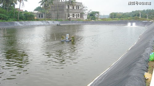 三、鱼塘操作的平安性