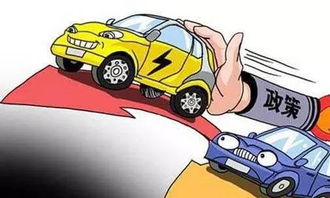 7. 出口申报：配合海关查验