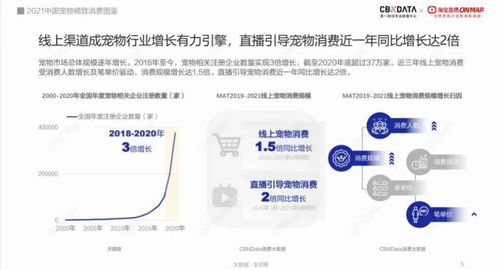 宠物窝垫：打造宠物的舒适休息空间
