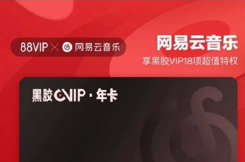 三、 88VIP会员的优势与不足