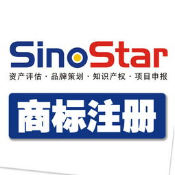 第四步：公告与异议期