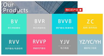 平台角色：自营与旗舰店的定位