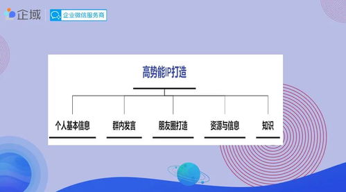 1. 制作优质的视频内容