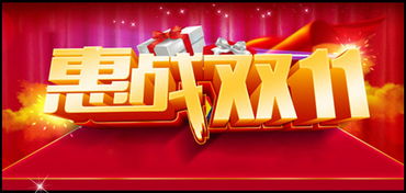 2. 双11购物狂欢节